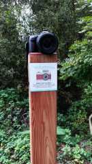 IMG_20201009_131003_6.jpg