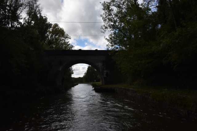 DSC_1106.JPG