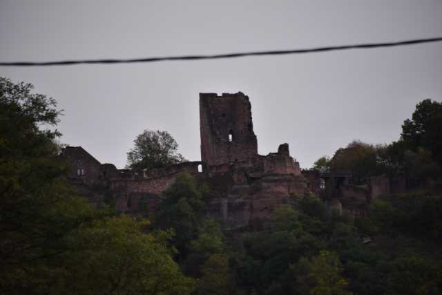 DSC_1192.JPG