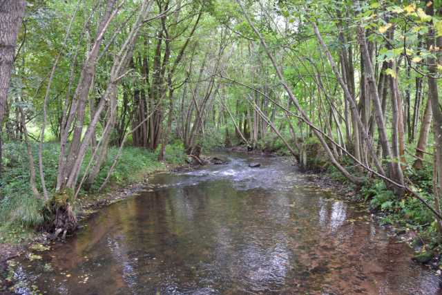 DSC_1205.JPG