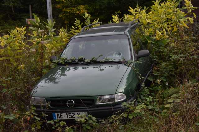 DSC_1206.JPG