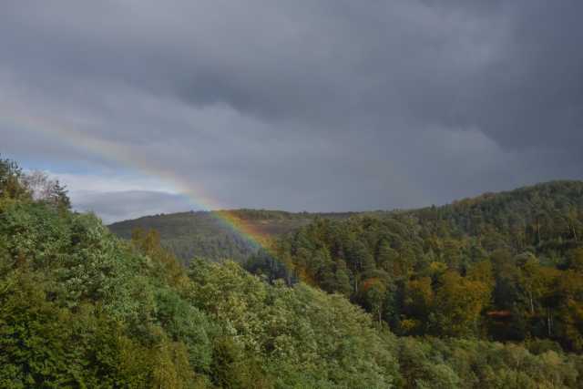 DSC_1297.JPG