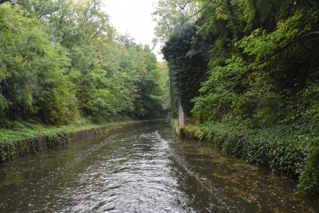 DSC_1336.JPG
