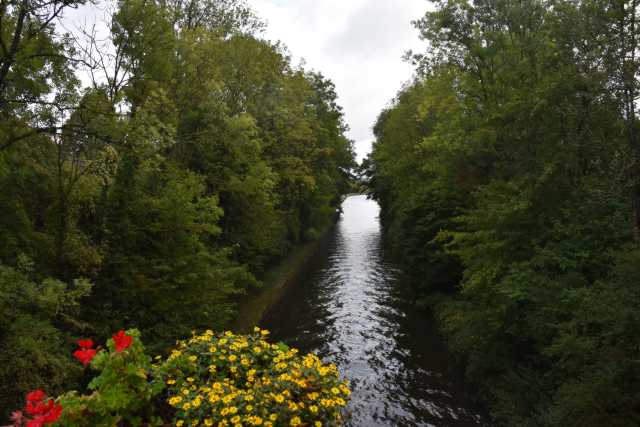 DSC_1341.JPG