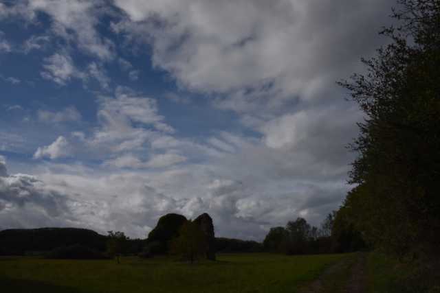 DSC_1361.JPG