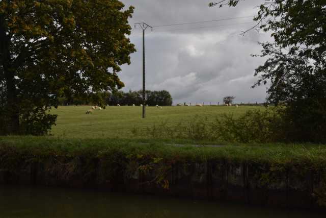 DSC_1393.JPG