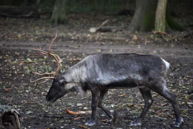 DSC_1423.JPG