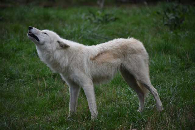 DSC_1451.JPG