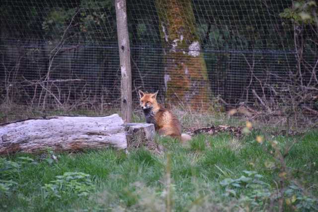 DSC_1511.JPG