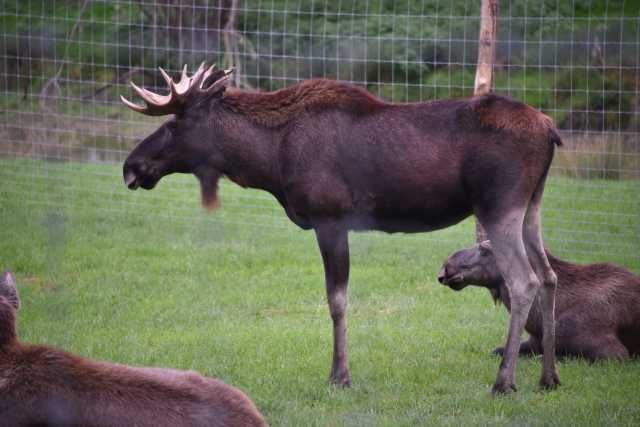 DSC_1576.JPG