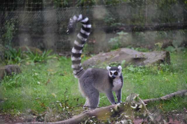 DSC_1632.JPG