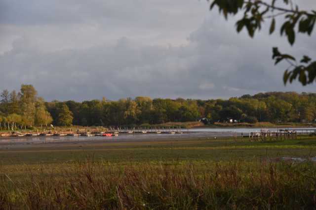 DSC_1644.JPG
