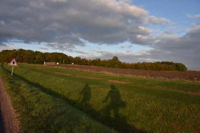 DSC_1647.JPG