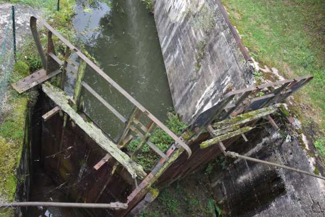 DSC_1725.JPG