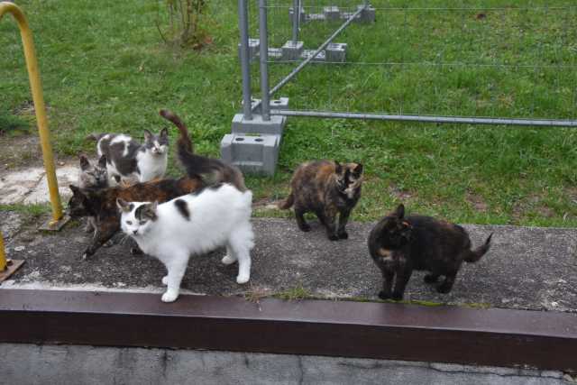 DSC_1748.JPG