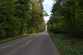 DSC_1767.JPG