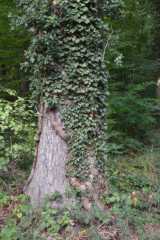 DSC_1769.JPG