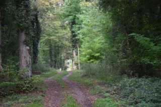 DSC_1770.JPG