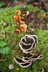 DSC_1777.JPG