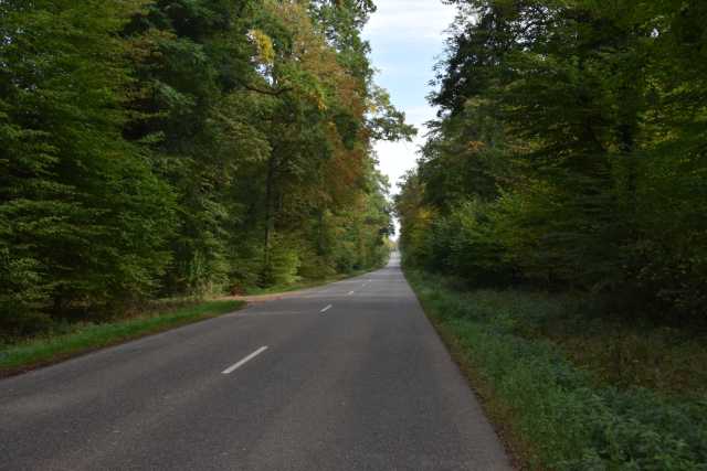 DSC_1767.JPG