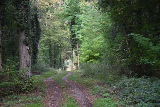 DSC_1770.JPG