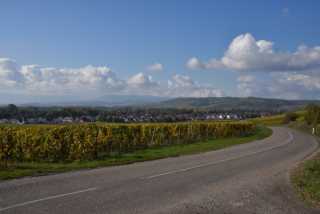 DSC_1793.JPG