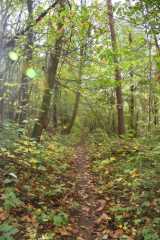 DSC_1805.JPG