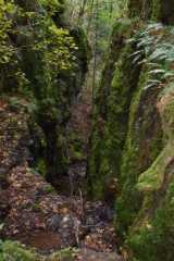DSC_1837.JPG