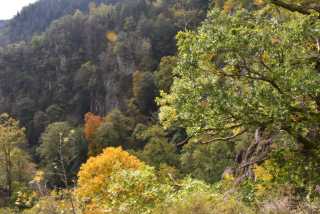 DSC_1872.JPG
