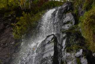 DSC_1885.JPG