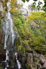 DSC_1908.JPG