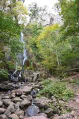 DSC_1917.JPG