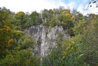 DSC_1928.JPG
