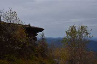 DSC_1985.JPG