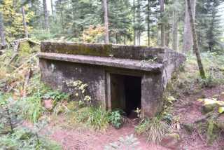DSC_2008.JPG