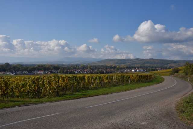 DSC_1793.JPG
