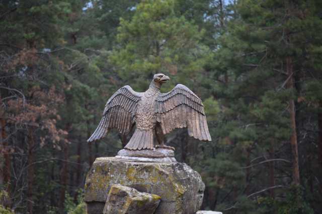DSC_1821.JPG