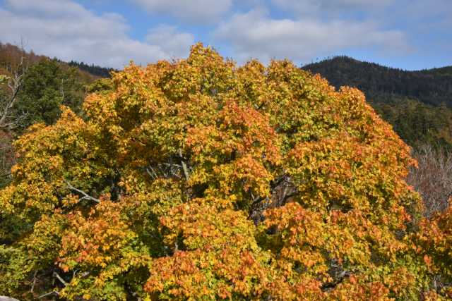 DSC_1857.JPG