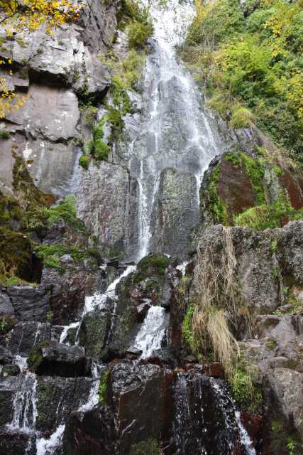 DSC_1881.JPG