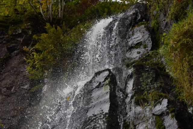 DSC_1885.JPG