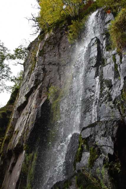 DSC_1897.JPG