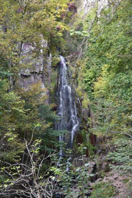 DSC_1926.JPG