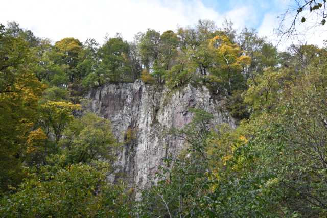 DSC_1928.JPG