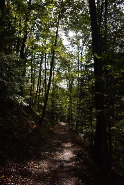 DSC_1932.JPG