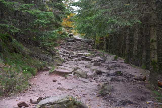 DSC_1955.JPG