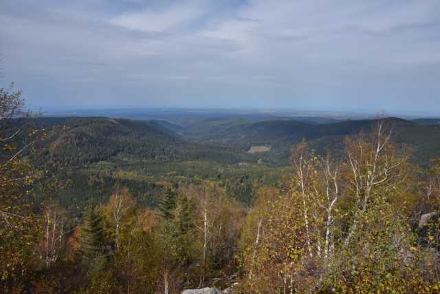 DSC_1964.JPG