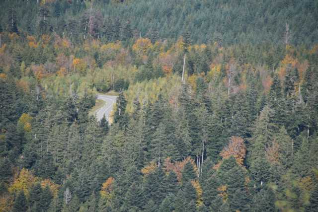 DSC_1980.JPG