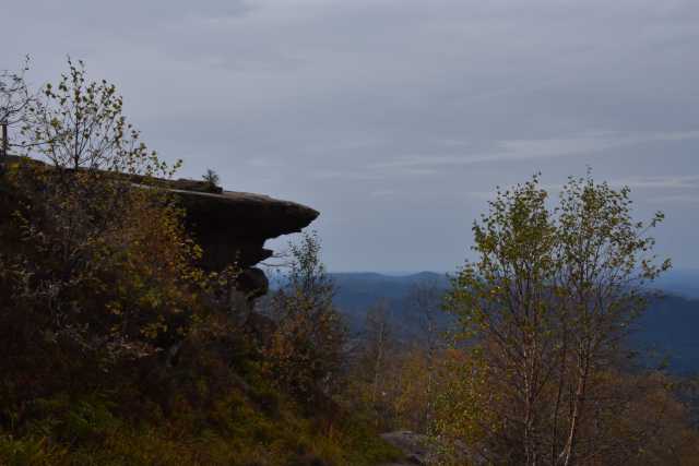 DSC_1985.JPG