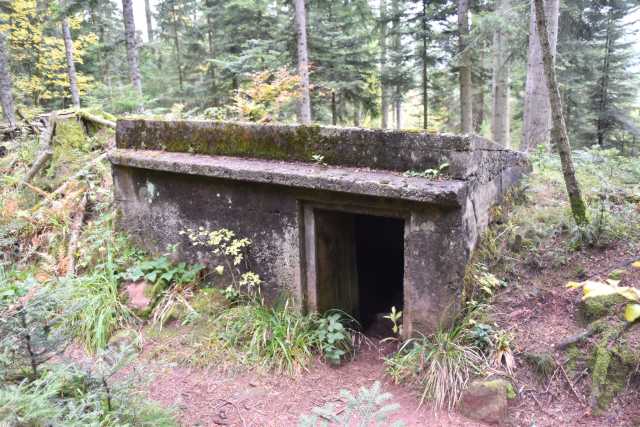 DSC_2008.JPG