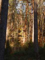 DSCN4187.JPG